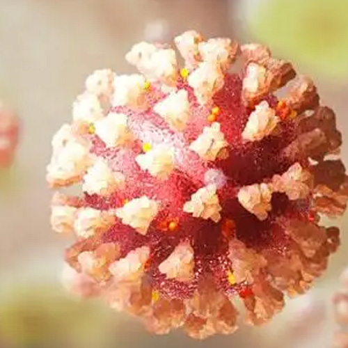 UV Işıkları ve Lambaları: Ultraviyole-C Radyasyonu, Dezenfeksiyon ve Coronavirüs